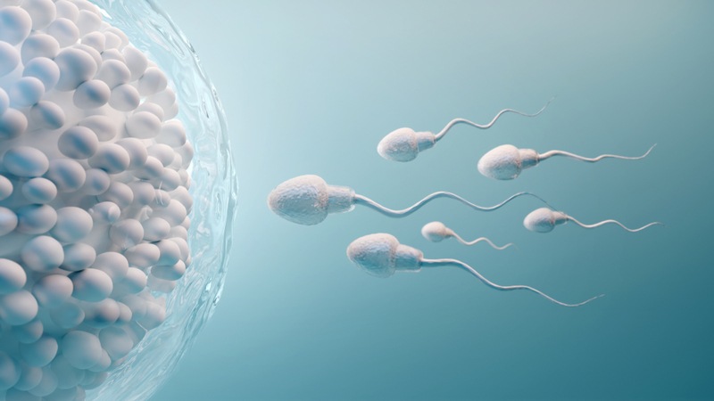 Sperm Fotos